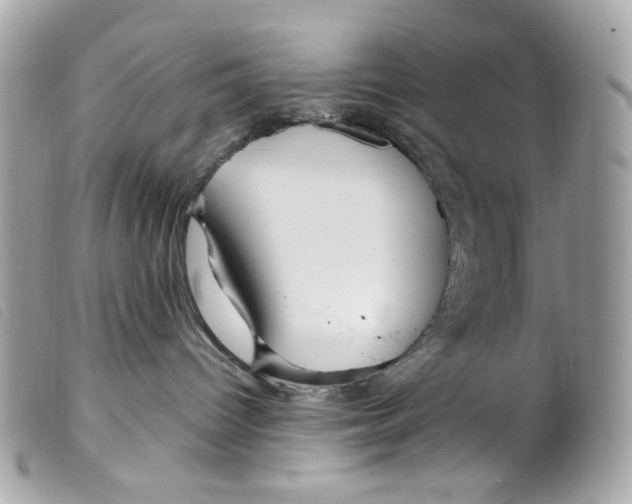 X0000099310096200805301203
