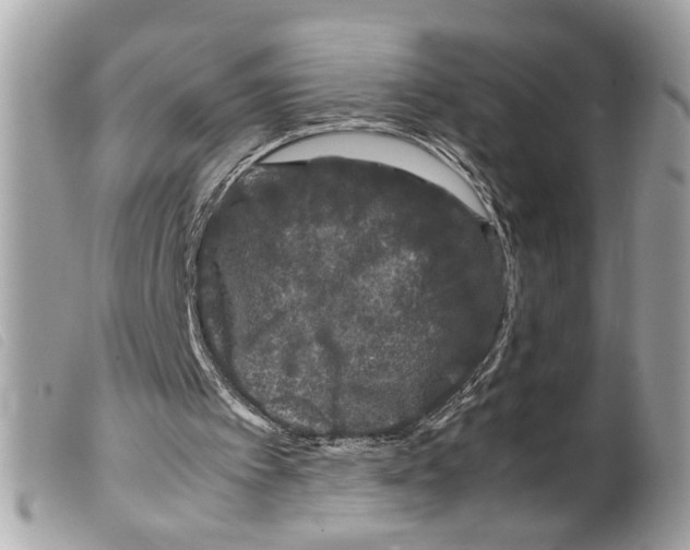 X0000099310097200805301203