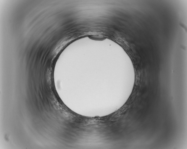 X0000099310098200805301203
