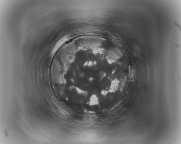 X0000099310099200805301203