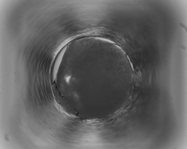 X0000099310100200805301203