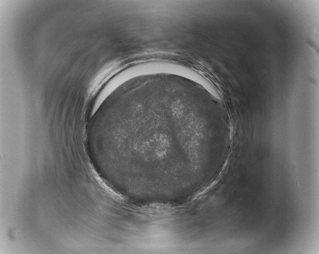 X0000099310101200805301203