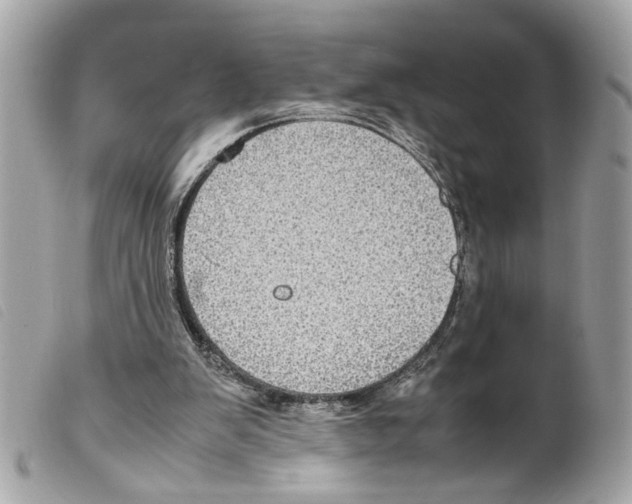 X0000099310103200805301203