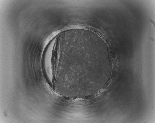 X0000099310104200805301203