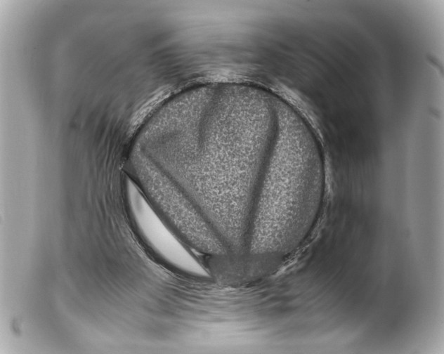 X0000099310105200805301203