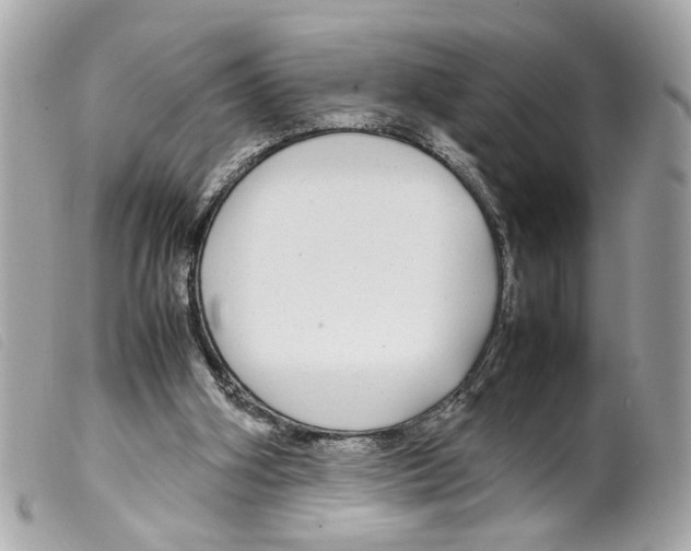 X0000099310106200805301203