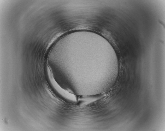X0000099310108200805301203