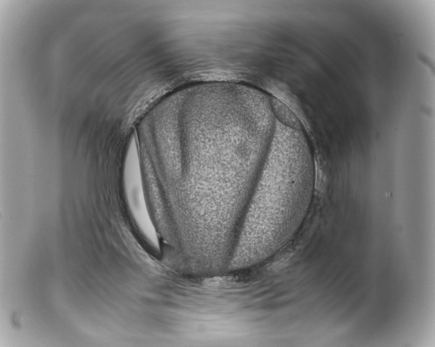 X0000099310109200805301203