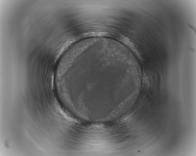 X0000099310110200805301203