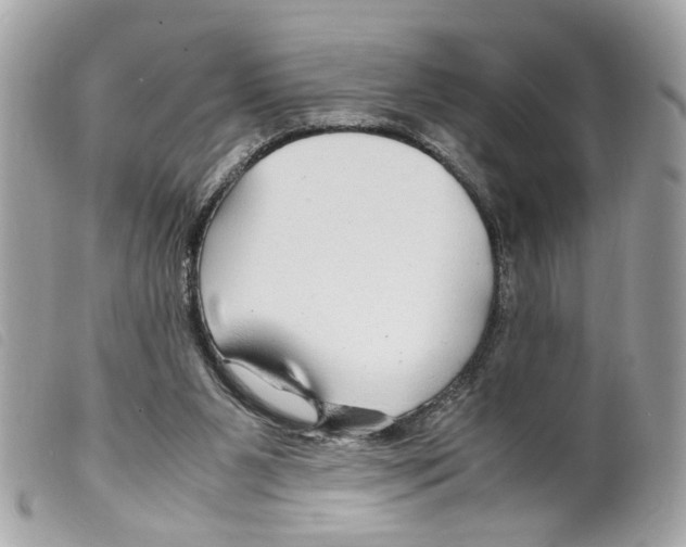 X0000099310111200805301203