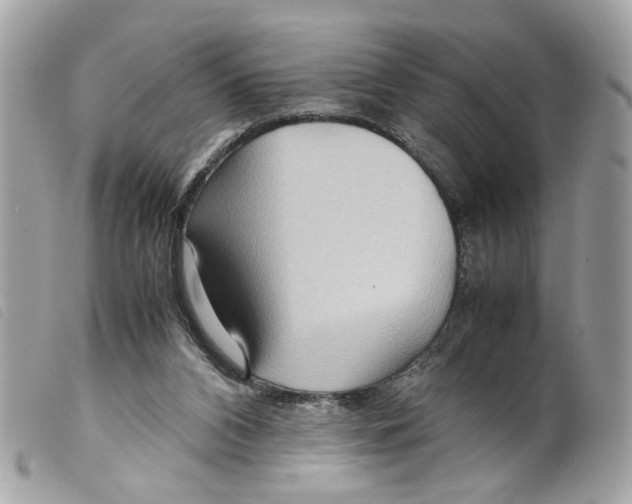 X0000099310112200805301203