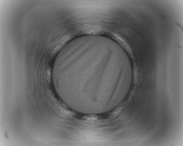 X0000099310113200805301203
