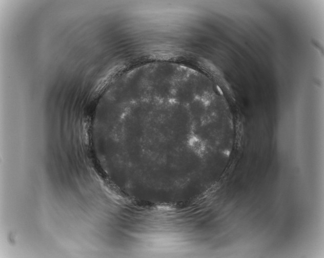 X0000099310114200805301203
