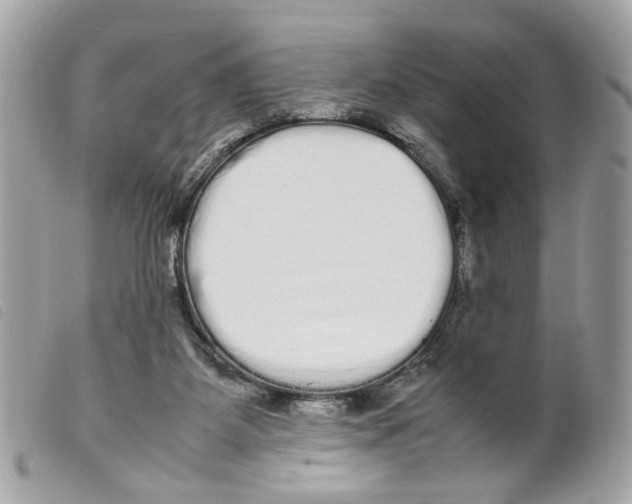 X0000099310115200805301203