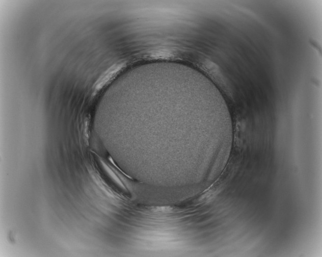 X0000099310116200805301203