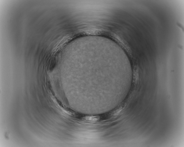 X0000099310117200805301203
