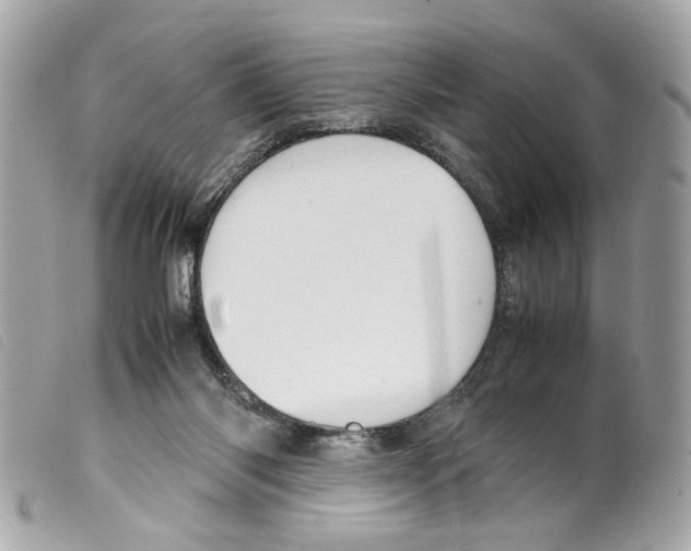 X0000099310118200805301203