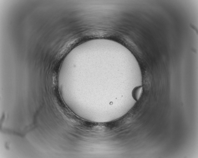 X0000099310119200805301202