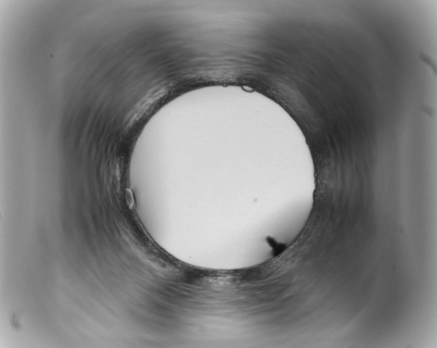 X0000099310120200805301202