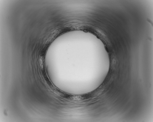 X0000099310121200805301202