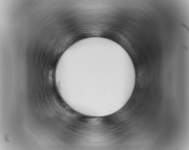 X0000099310122200805301202