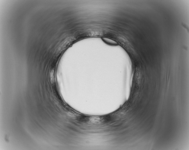 X0000099310123200805301202