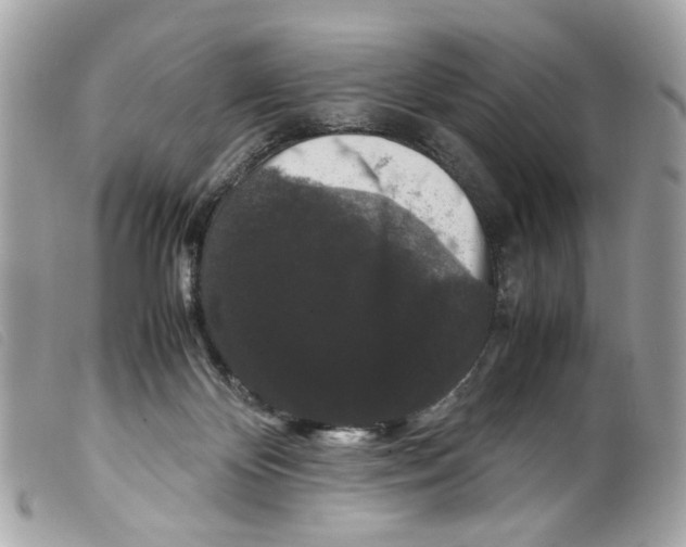 X0000099310124200805301202