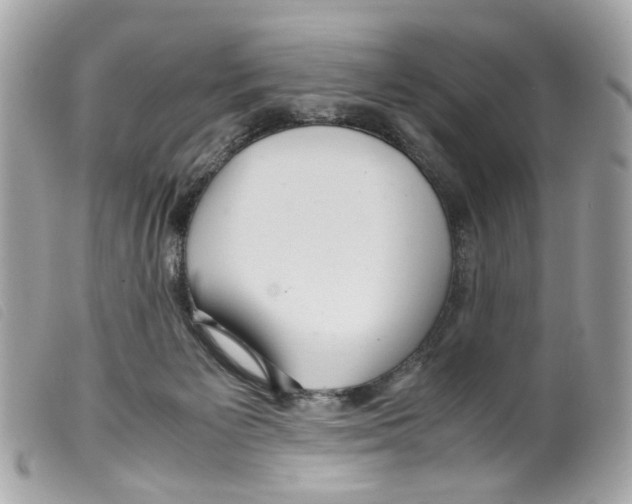 X0000099310125200805301202