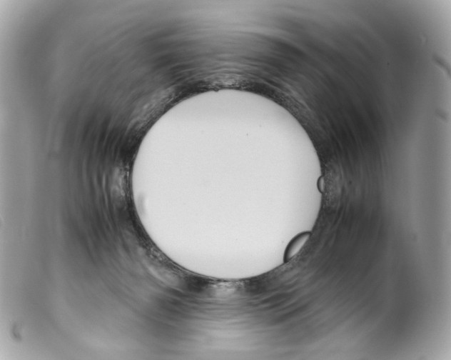 X0000099310126200805301202