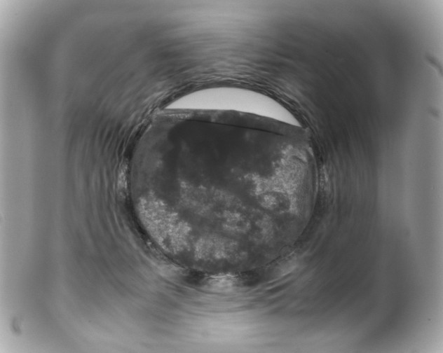 X0000099310127200805301202