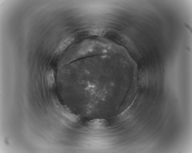 X0000099310128200805301202