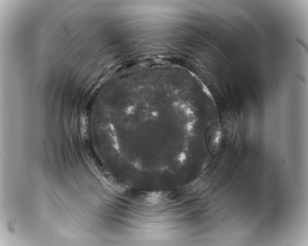 X0000099310130200805301202