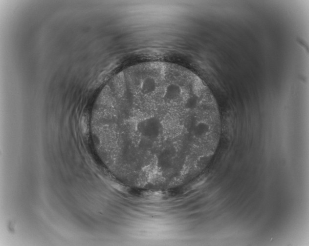 X0000099310131200805301202