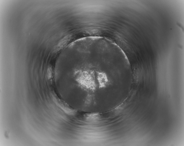X0000099310132200805301202