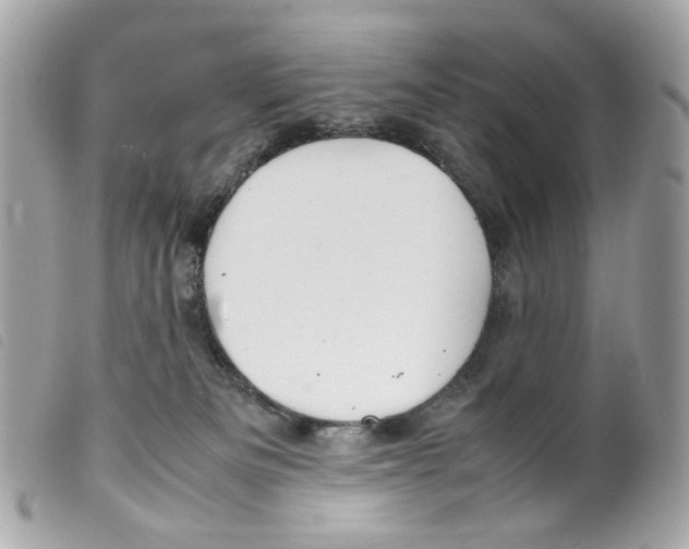 X0000099310133200805301202
