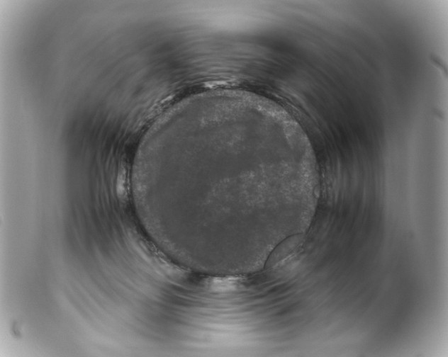 X0000099310134200805301202