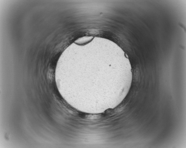 X0000099310135200805301202