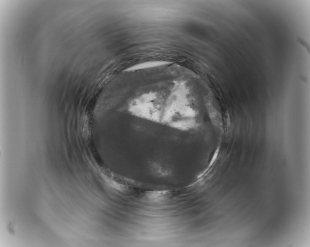 X0000099310136200805301202