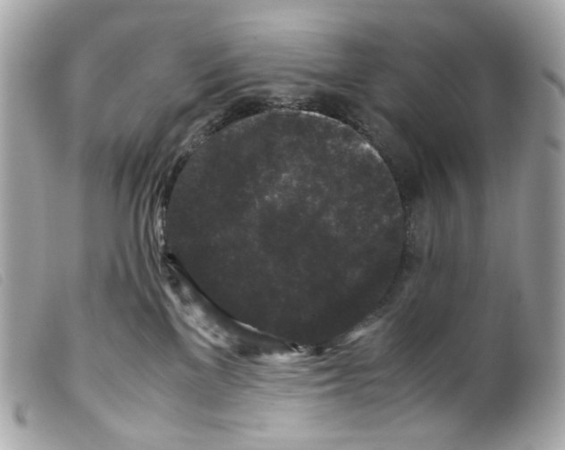 X0000099310137200805301202