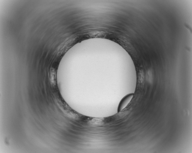 X0000099310138200805301202