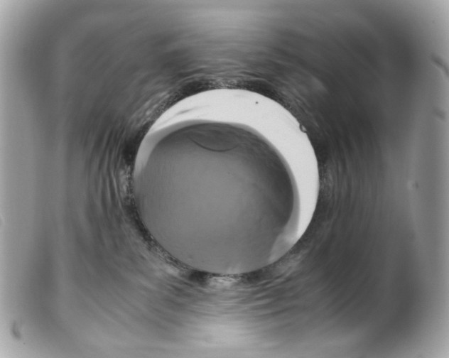 X0000099310139200805301202