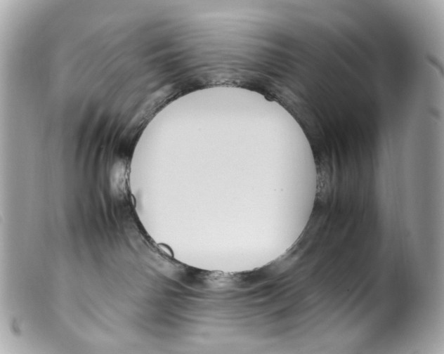 X0000099310142200805301202