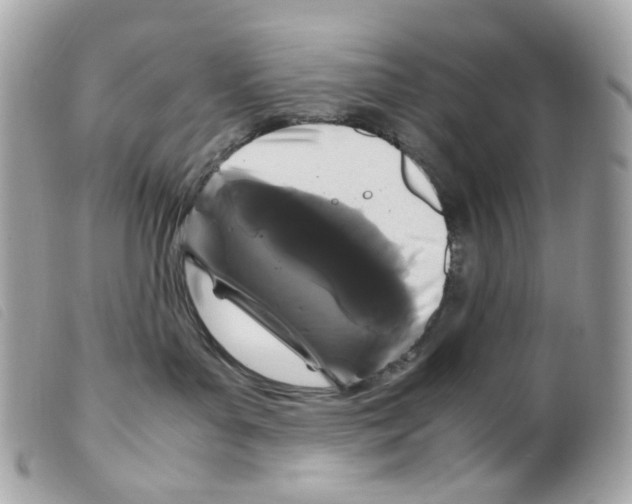 X0000099310143200805301202