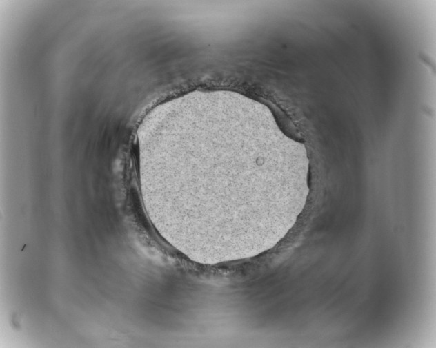 X0000099310144200805301202