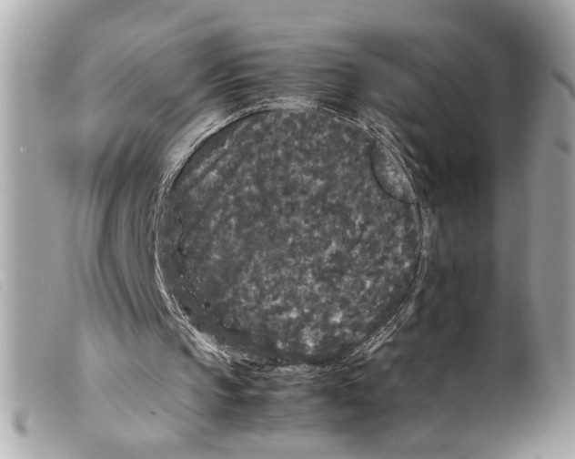 X0000099310145200805301201