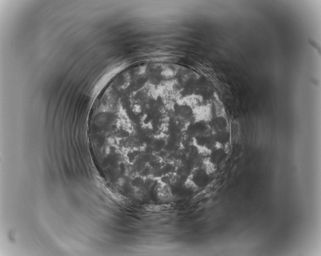 X0000099310147200805301201