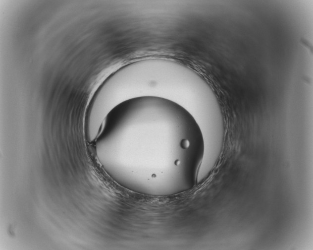 X0000099310148200805301201