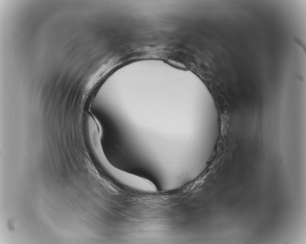 X0000099310150200805301201