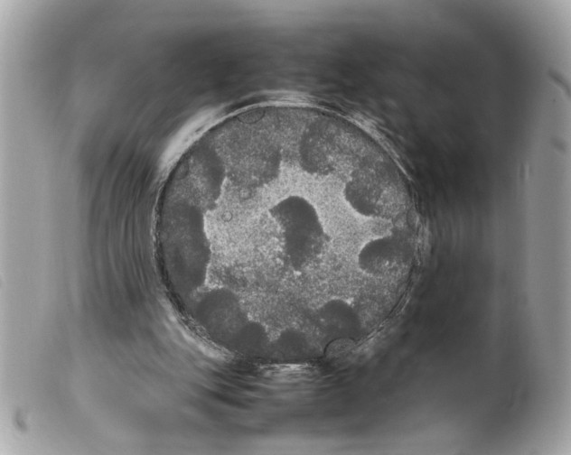 X0000099310151200805301201