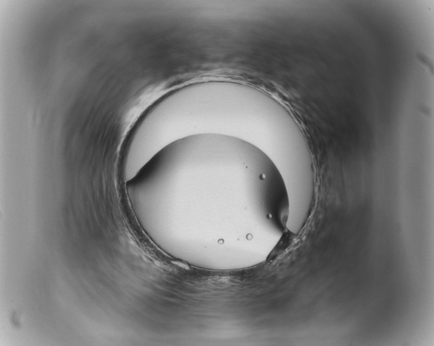 X0000099310152200805301202